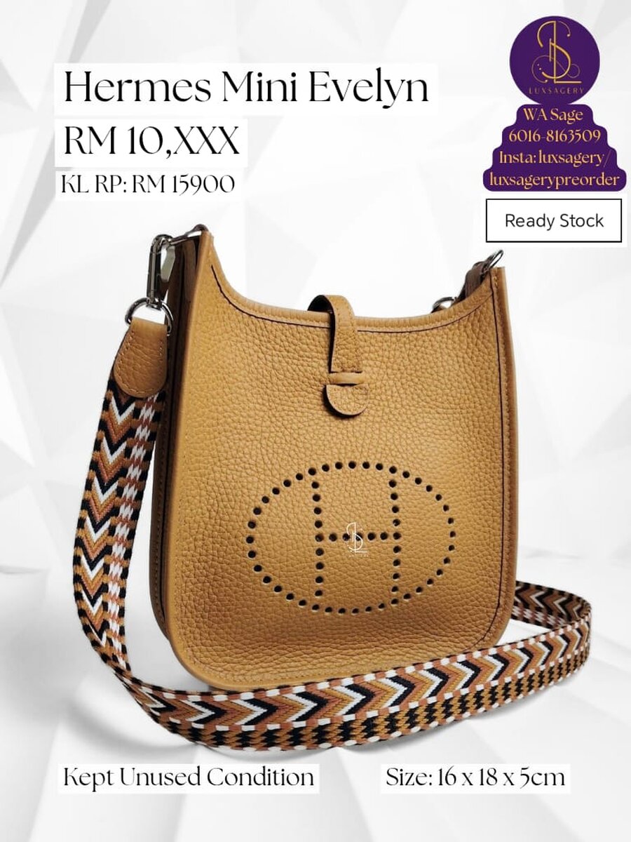 Hermes Mini Evelyn